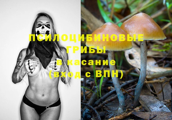 PSILOCYBIN Горнозаводск