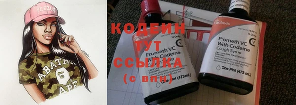 прущий лед Вязьма