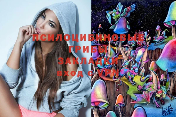 PSILOCYBIN Вяземский