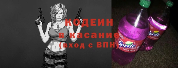PSILOCYBIN Вяземский