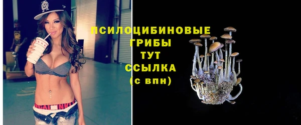 синтетический гашиш Горно-Алтайск