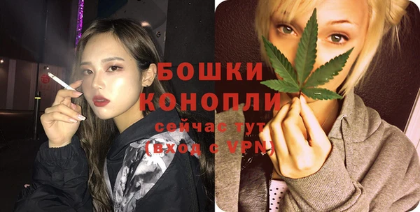 прущий лед Вязьма