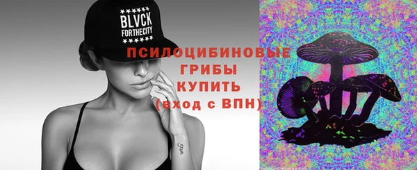 PSILOCYBIN Горнозаводск
