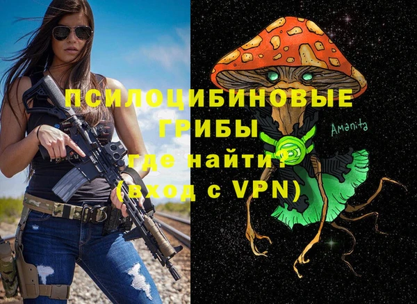 прущий лед Вязьма