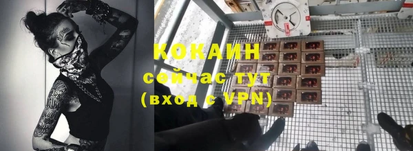 PSILOCYBIN Горнозаводск
